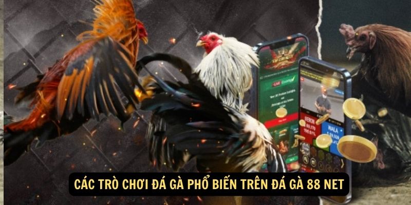 Các trò chơi đá gà phổ biến trên đá gà 88 net