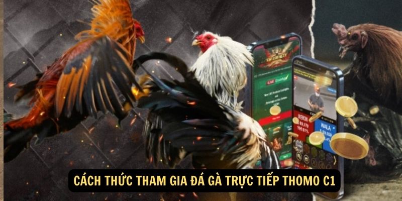 Cach thuc tham gia da ga truc tiep thomo c1