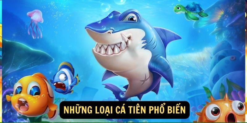 Nhung Loai Ca Tien Pho Bien