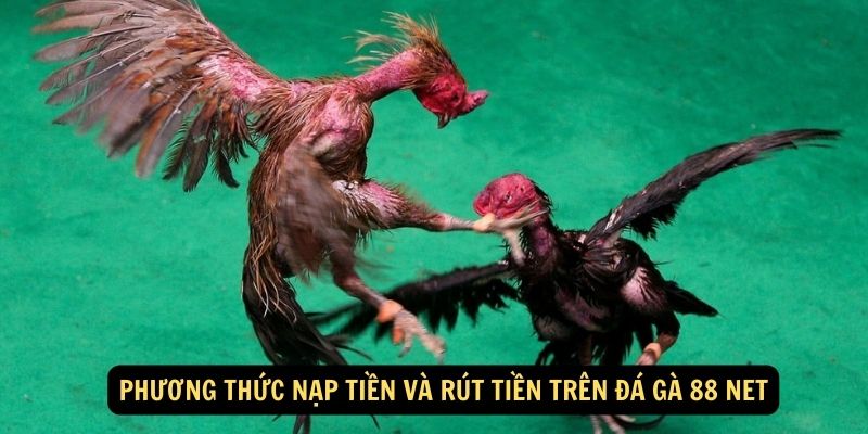 Phuong thuc nap tien va rut tien tren da ga 88 net